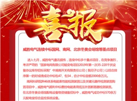 威勝電氣連續(xù)中標國網(wǎng)、南網(wǎng)、北京冬奧會場館等重點項目